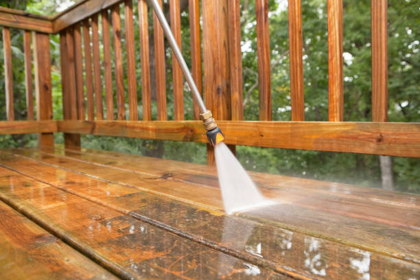 Best Spring Cleaning  in Naples Manor, FL